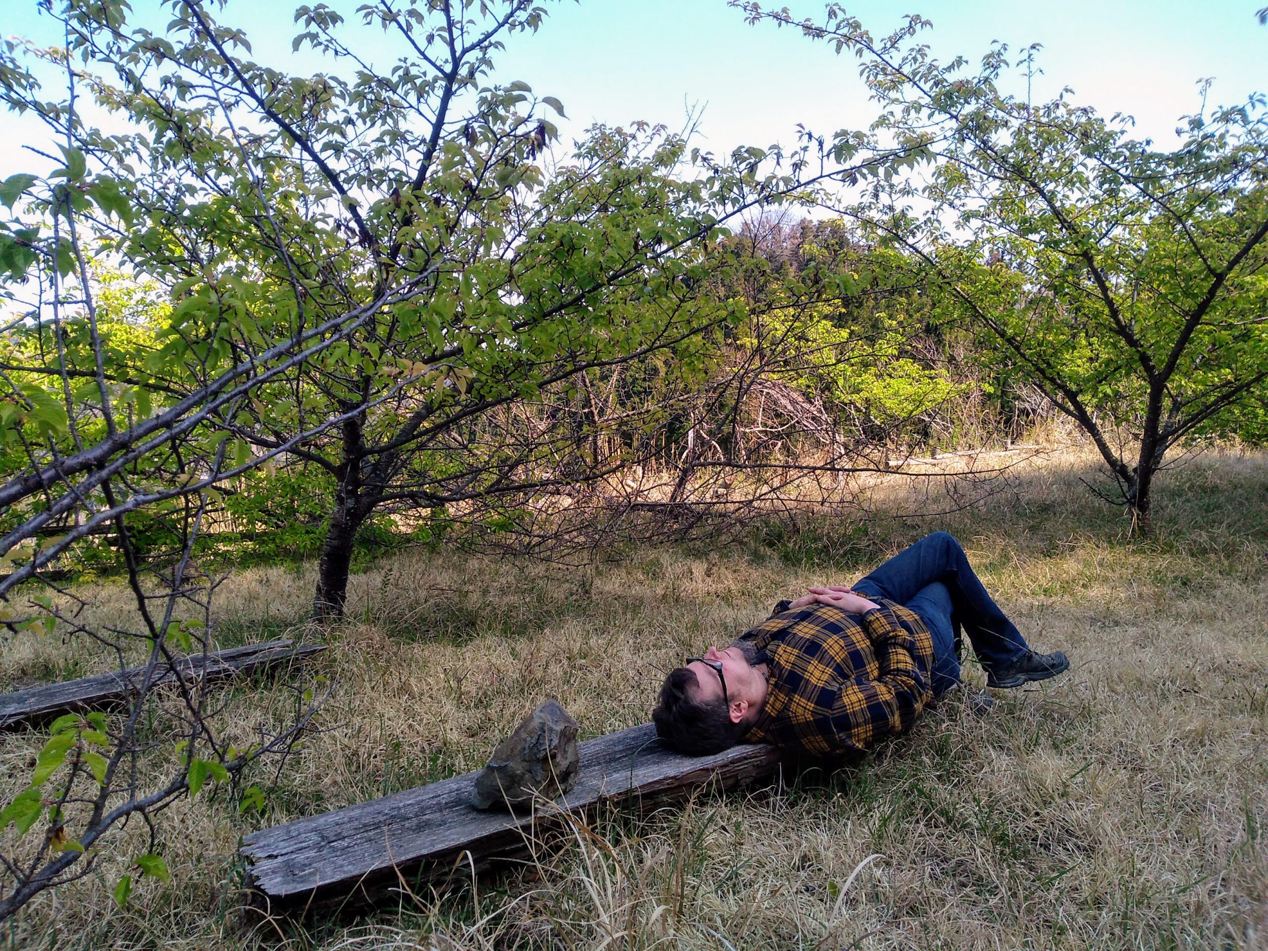 Solitary Hanami Hike