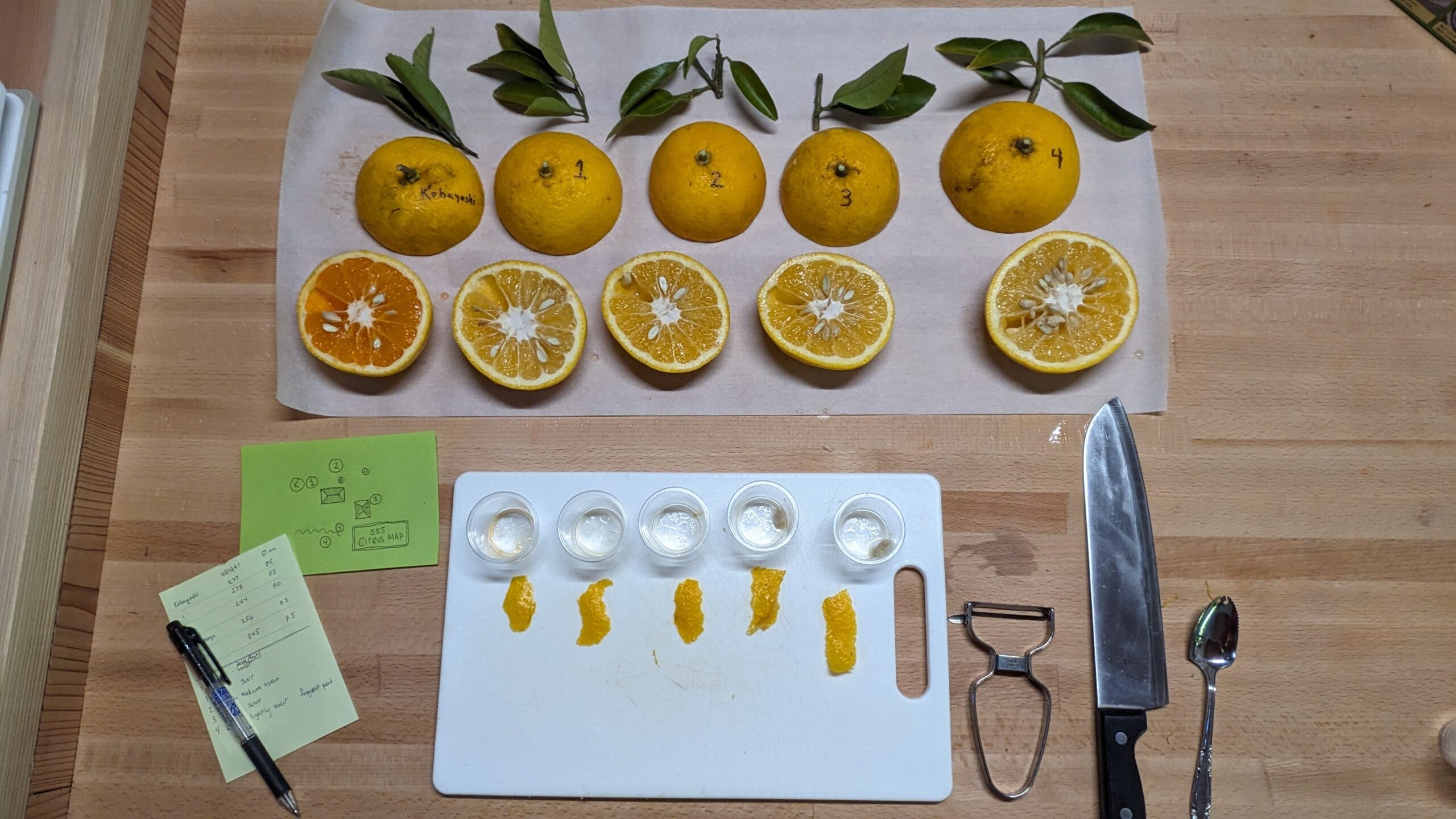 Demystifying our Mikan